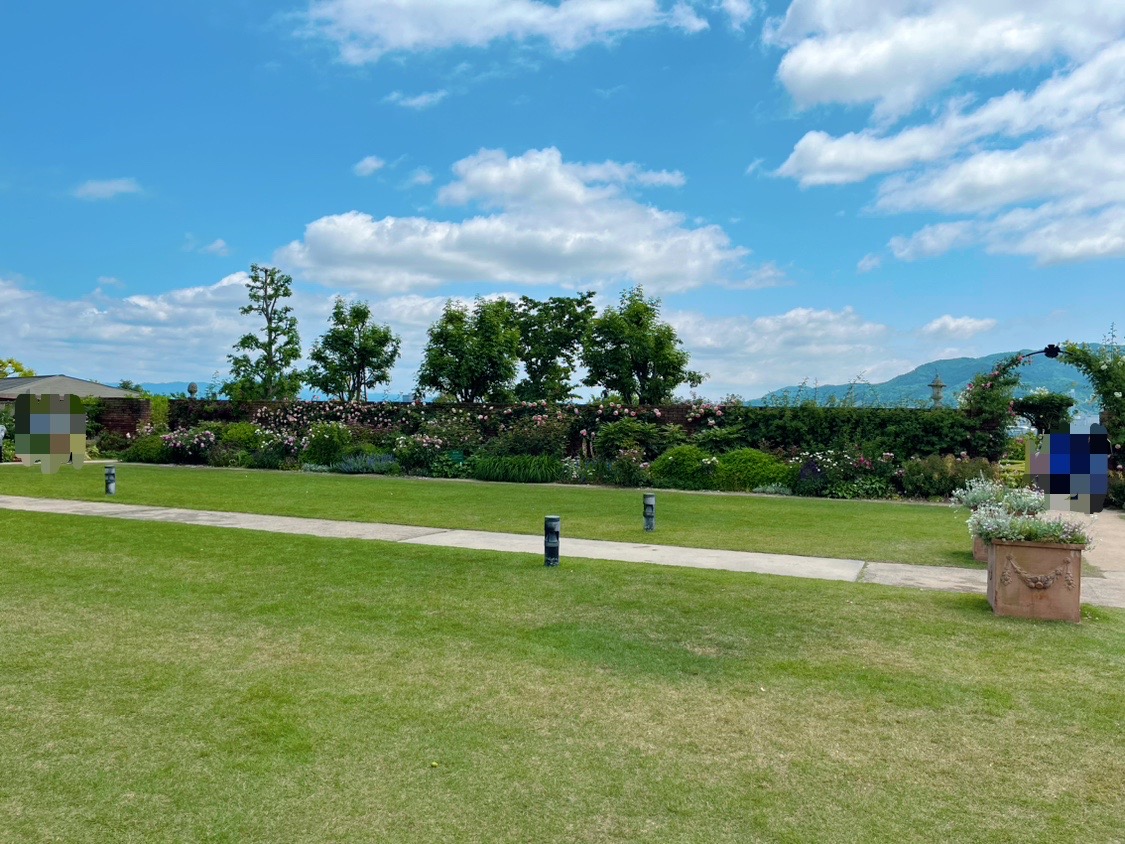 びわ湖大津館入り口付近の芝生