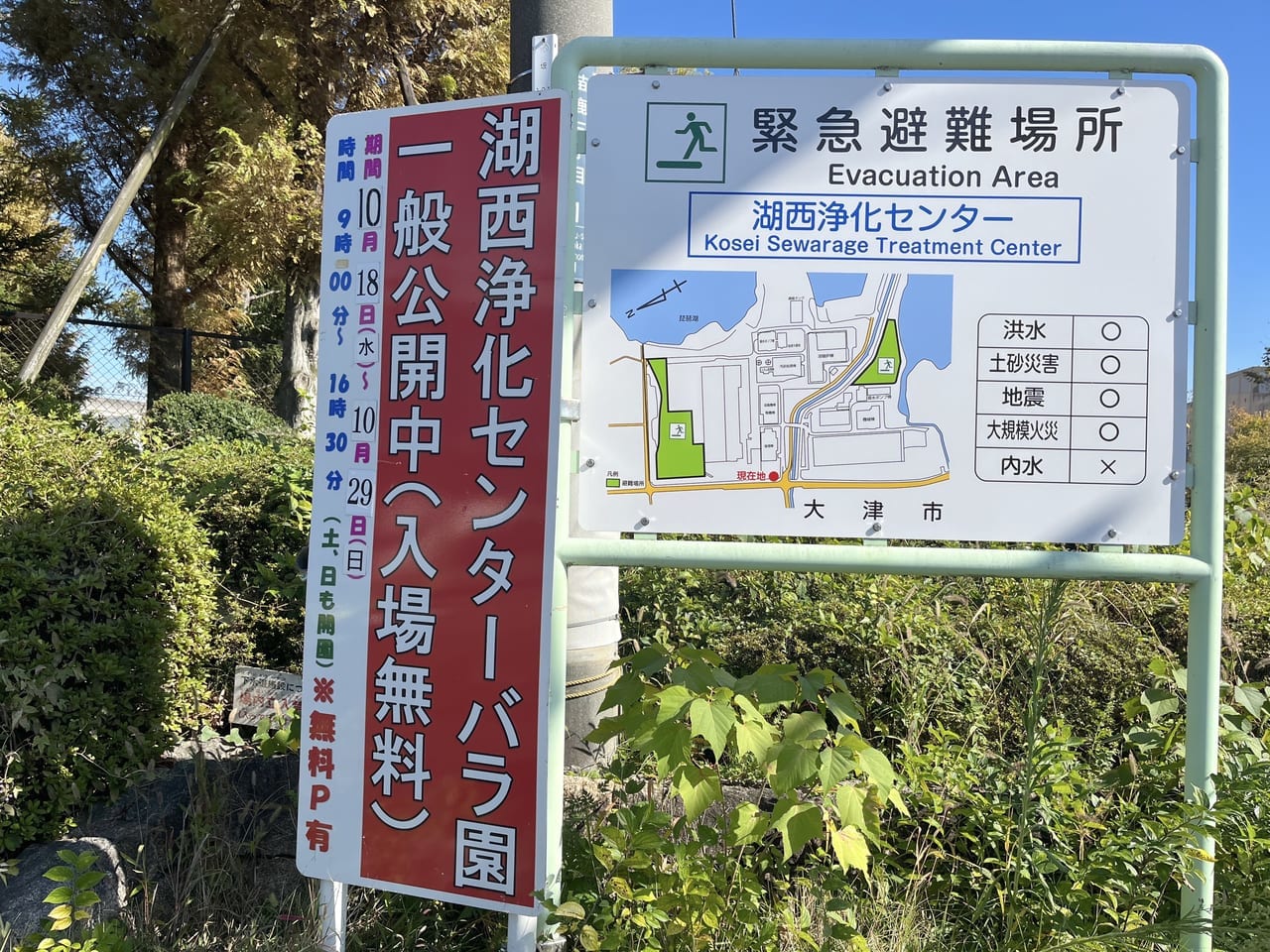 湖西浄化センターバラ園の一般公開中の看板