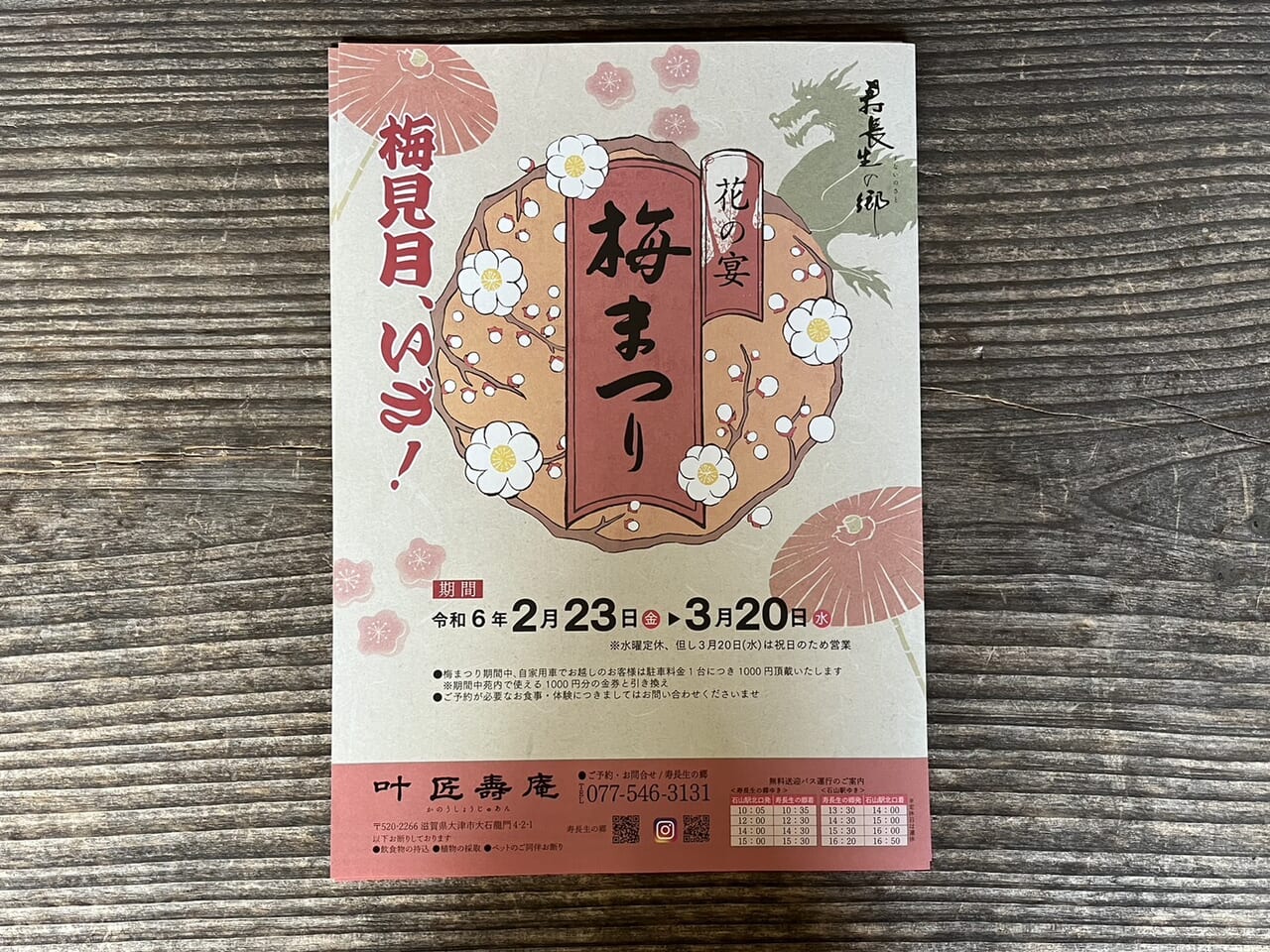 寿長生の郷で開催されている梅まつりのちらし。2024年3月20日まで開催