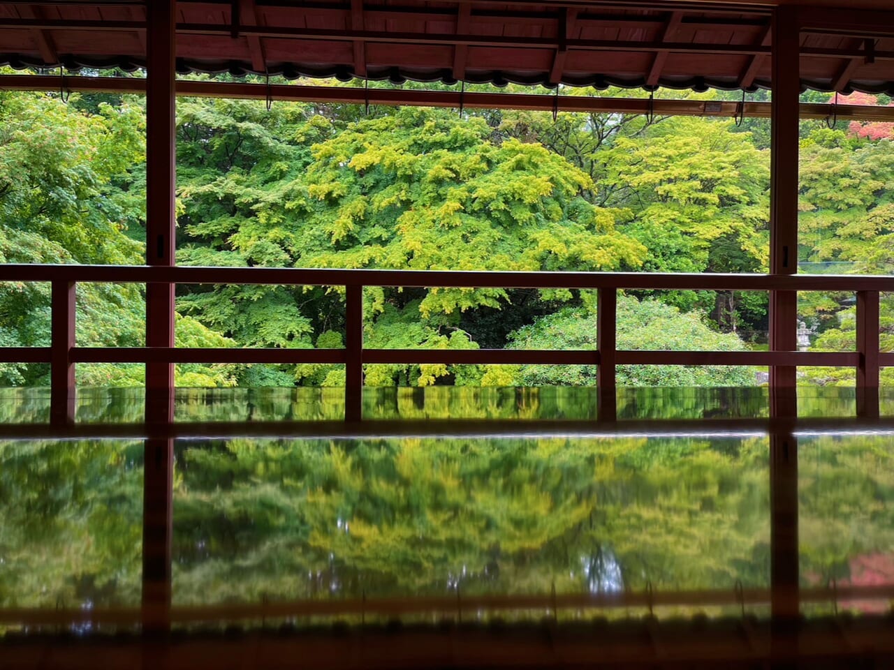 旧竹林院で撮影したリフレクション写真の様子